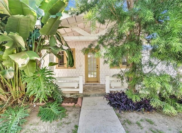 Palmetto Court