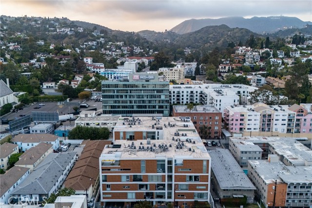 The Hollywood