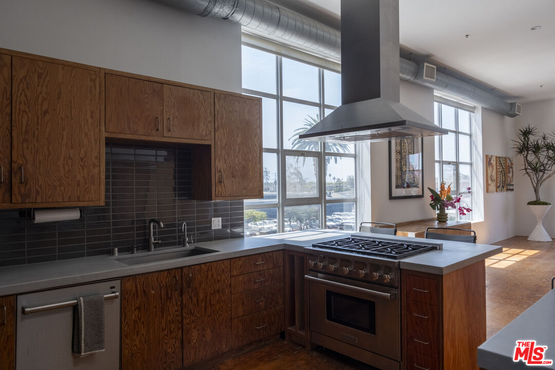 The Gehry/Arnoldi Lofts