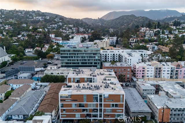 The Hollywood