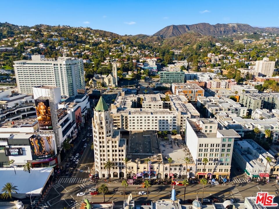 The Hollywood