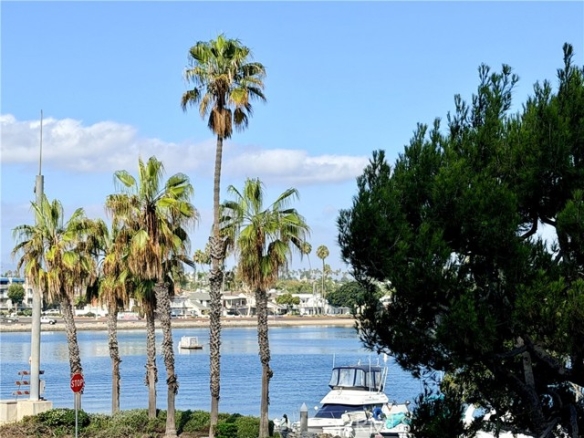 The Marina Pacifica